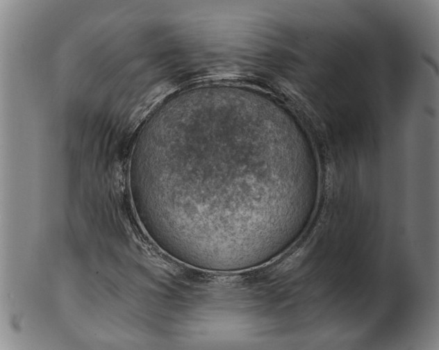 X0000101651353200807241345