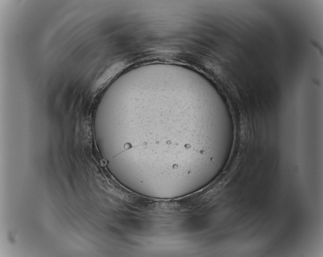 X0000101651354200807241345