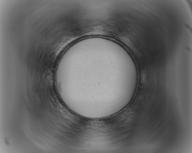 X0000101651356200807241345