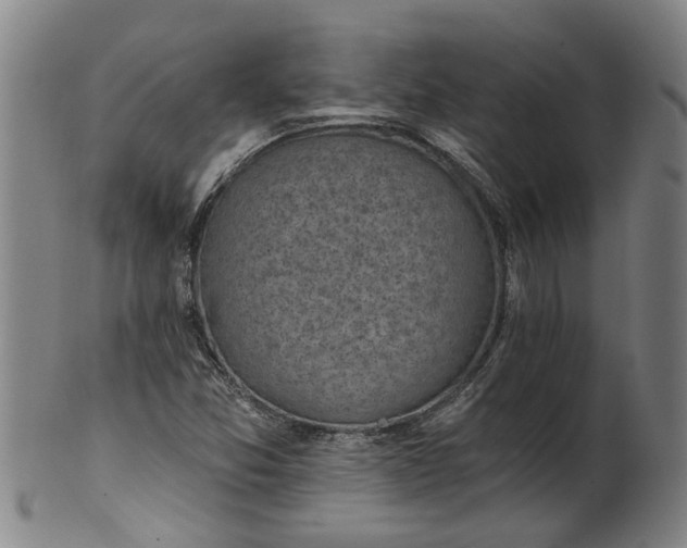 X0000101651357200807241345