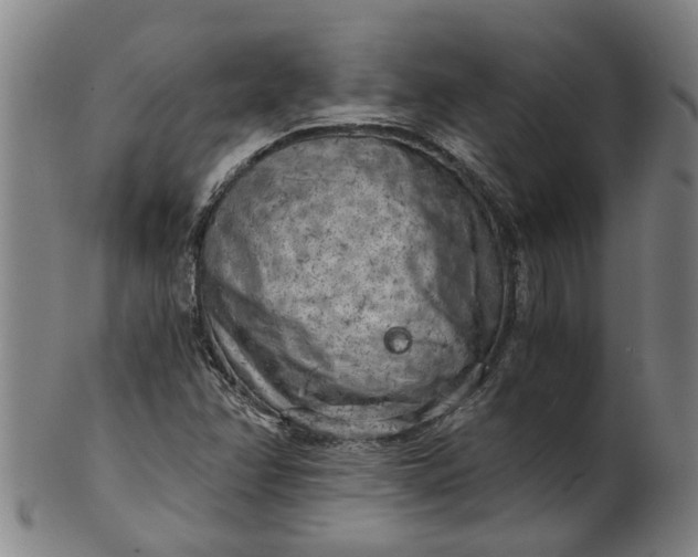 X0000101651358200807241345