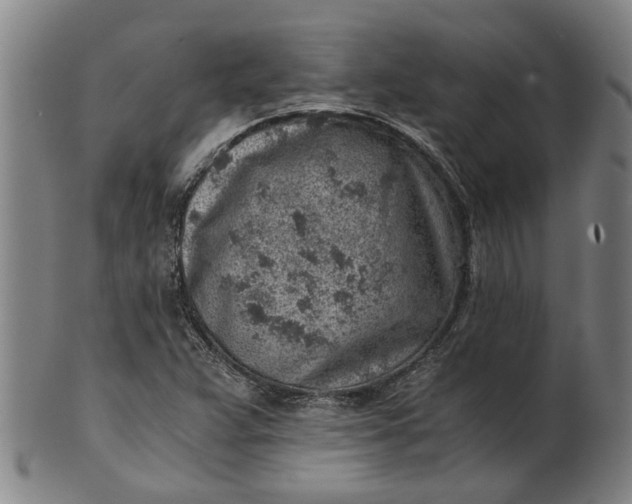 X0000101651359200807241345