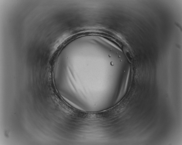 X0000101651360200807241345