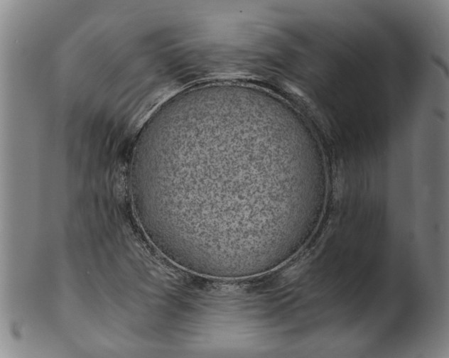 X0000101651361200807241345