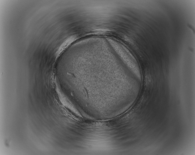 X0000101651362200807241345