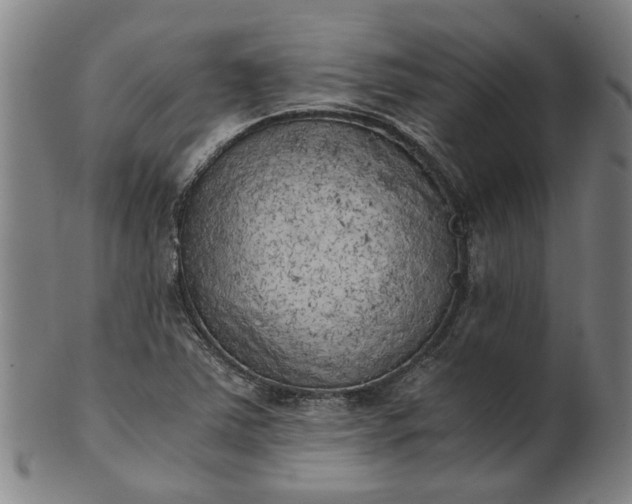 X0000101651363200807241345