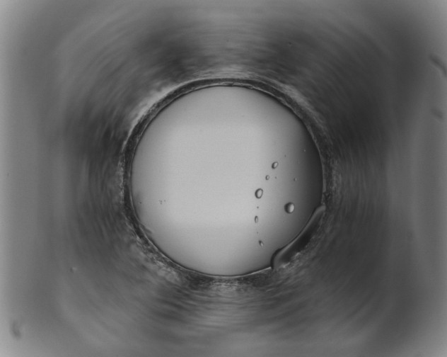 X0000101651364200807241345