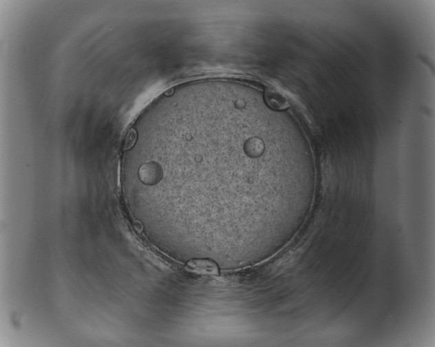 X0000101651365200807241345