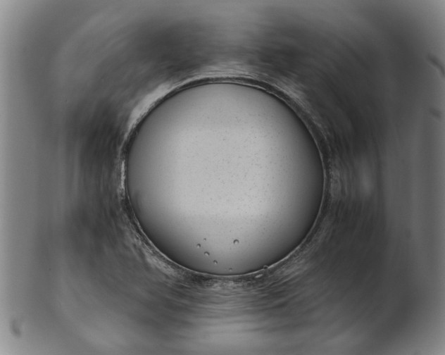 X0000101651366200807241345