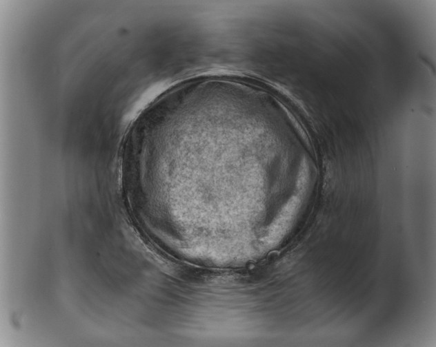 X0000101651367200807241345