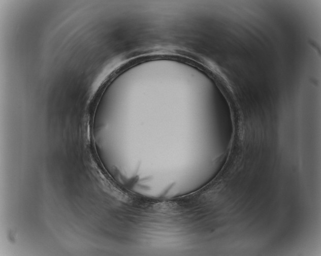 X0000101651368200807241345