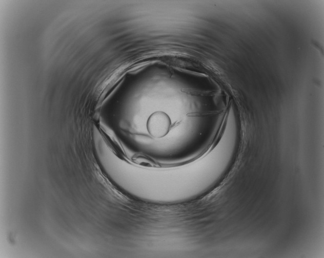 X0000101651369200807241345