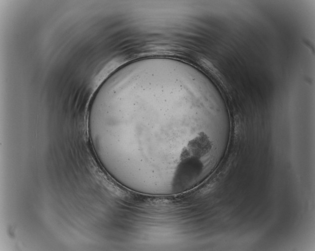 X0000101651370200807241345