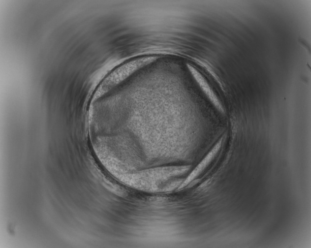 X0000101651371200807241345