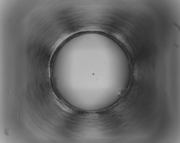 X0000101651372200807241345