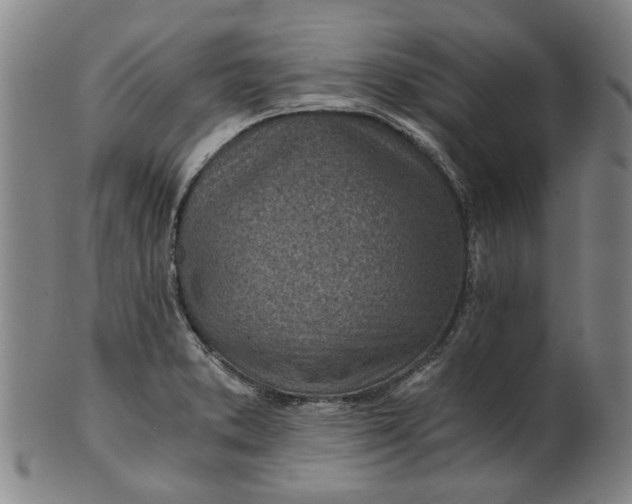 X0000101651373200807241345