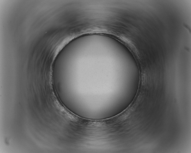 X0000101651374200807241345