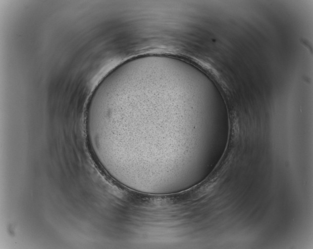 X0000101651375200807241345