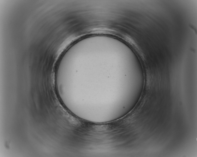 X0000101651376200807241345