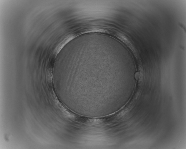 X0000101651377200807241345