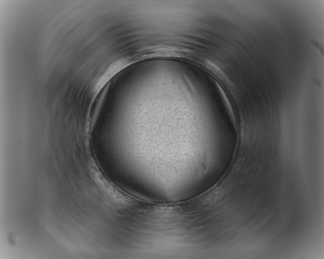 X0000101651378200807241345