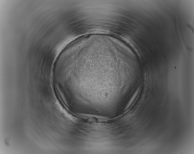 X0000101651379200807241345