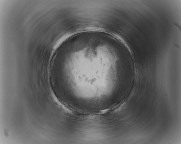 X0000101651381200807241345