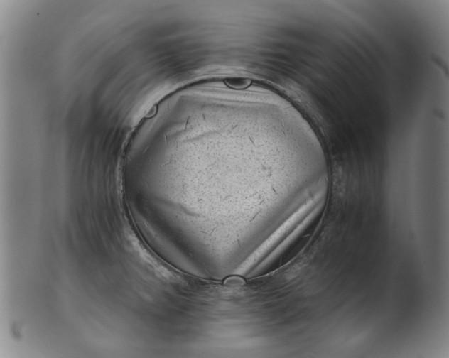 X0000101651382200807241345