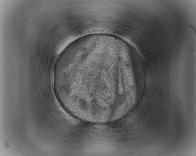 X0000101651383200807241345