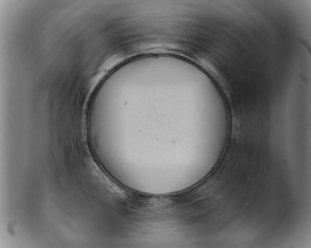 X0000101651384200807241345