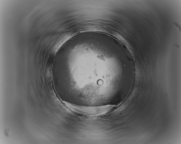 X0000101651385200807241345