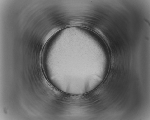 X0000101651386200807241345