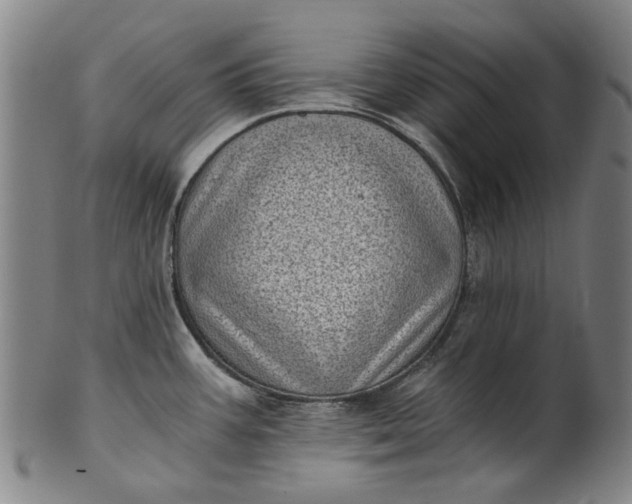 X0000101651387200807241345