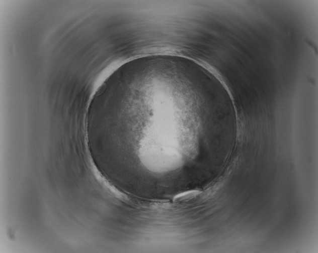 X0000101651389200807241345