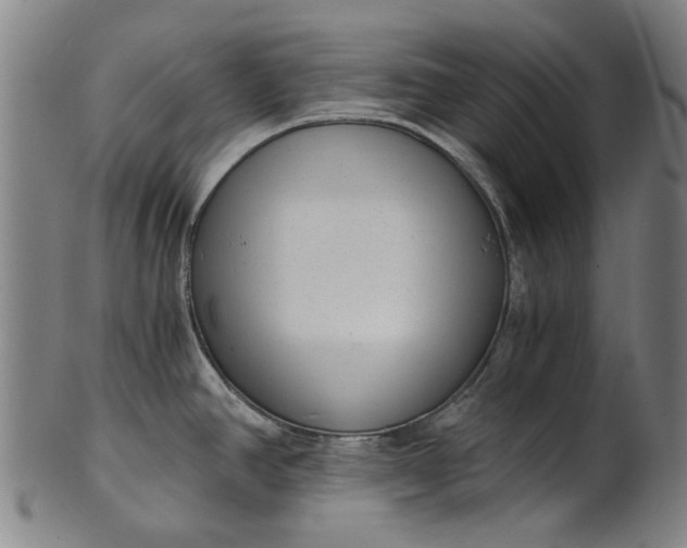 X0000101651390200807241345