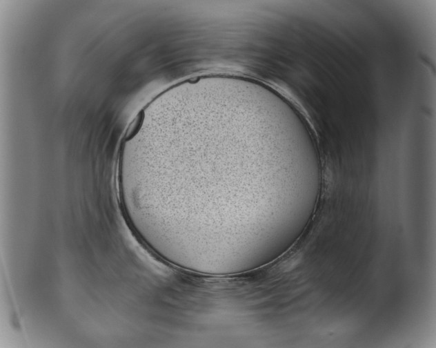 X0000101651391200807241345