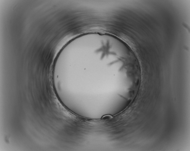 X0000101651392200807241345