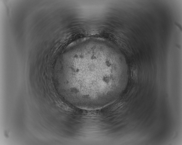 X0000101651393200807241344