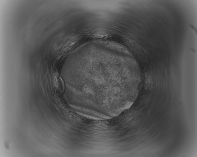 X0000101651394200807241344