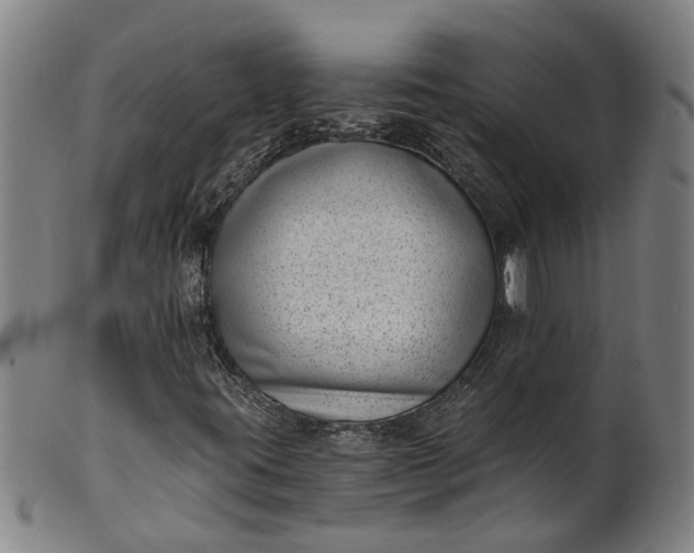 X0000101651395200807241344