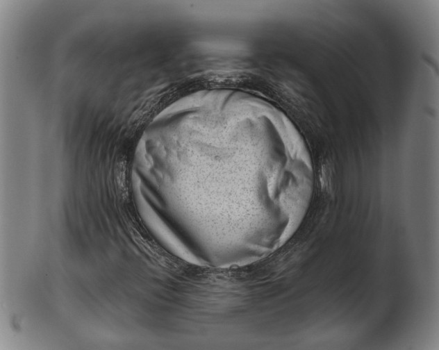 X0000101651396200807241344