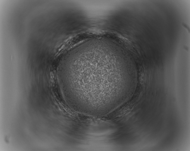 X0000101651397200807241344