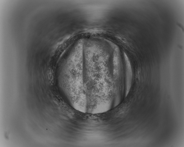 X0000101651398200807241344