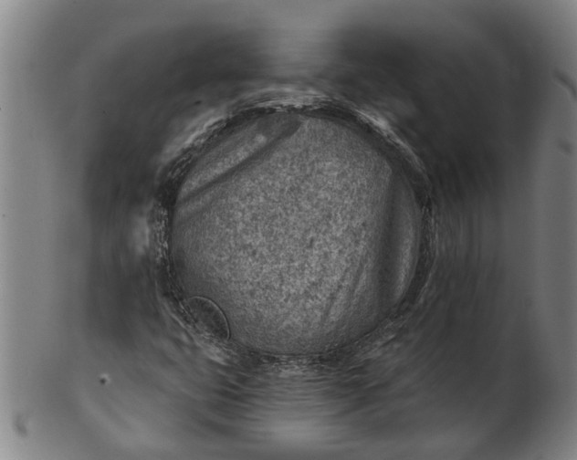 X0000101651399200807241344