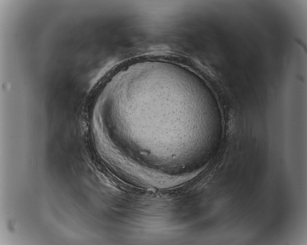 X0000101651400200807241344