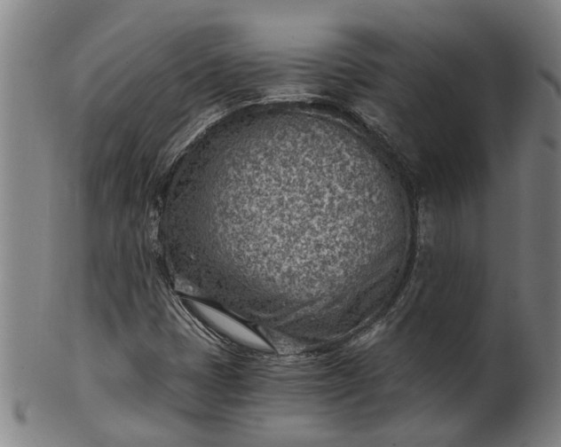 X0000101651401200807241344