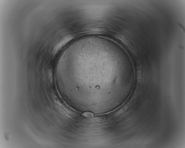 X0000101651402200807241344