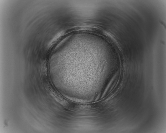 X0000101651403200807241344