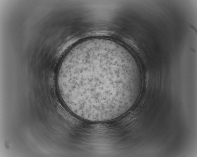 X0000101651404200807241344