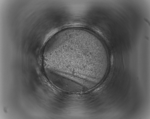 X0000101651405200807241344